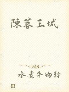 陈蓉王城封面
