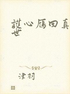 护心雁回真实身世封面