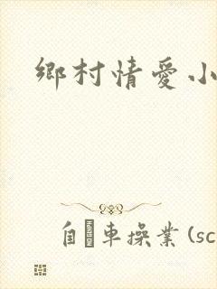 乡村情爱小说