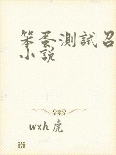 笨蛋测试召唤兽小说
