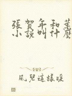 张贺年和叶繁姿小说叫什么名字