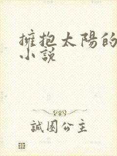 拥抱太阳的月亮小说