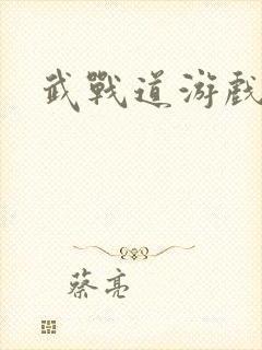 武战道游戏封面