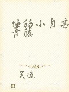 他的小月亮by青藤封面