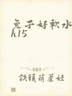 兔子好软水好多h15封面
