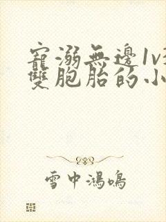 宠溺无边1v3双胞胎的小说