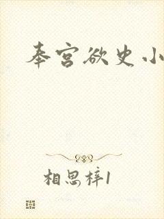 奉宫欲史小说封面