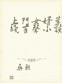 上门女婿叶辰在线有声小说