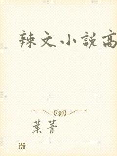 辣文小说高h