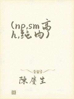 (np,sm高h,纯肉)