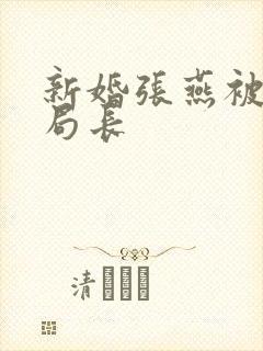 新婚张燕被两个局长封面