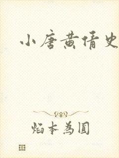 小唐黄倩史封面