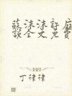 苏沫沫许庭川小说全文免费阅读封面