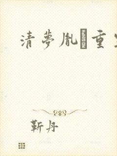 清梦胤礽重生封面
