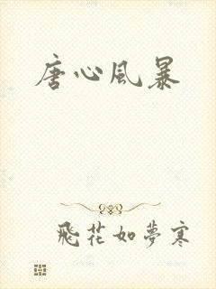 唐心风暴封面