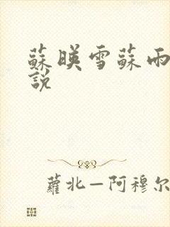 苏映雪苏雨柔小说