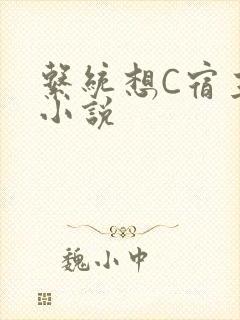 系统想C宿主的小说