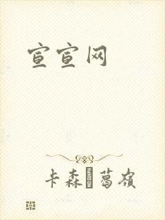 宣宣网封面