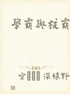 学霸与校霸封面