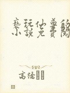 亵玩仙尊的道侣小说免费阅读