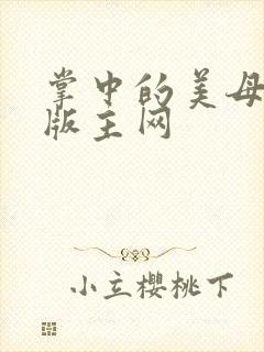 掌中的美母第一版主网封面