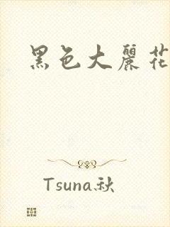 黑色大丽花图片