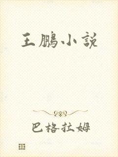 王鹏小说
