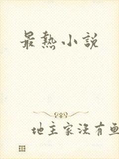 最热小说
