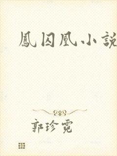 凤囚凰小说