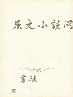 原文小说网封面
