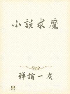小说求魔封面