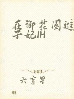 在御花园进入太子妃IH