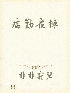 病勤夜栋封面