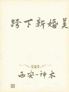 跨下新婚美妇封面