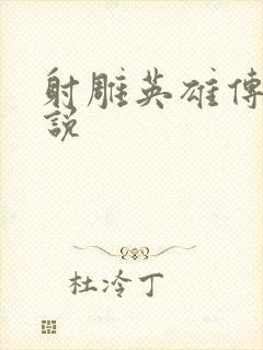 射雕英雄传 小说封面