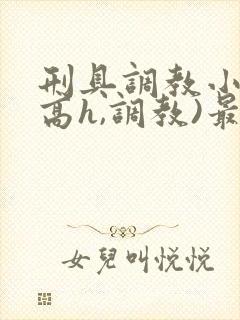 刑具调教小说(高h,调教)最新章节内容