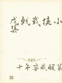 戊戟武侠小说全集