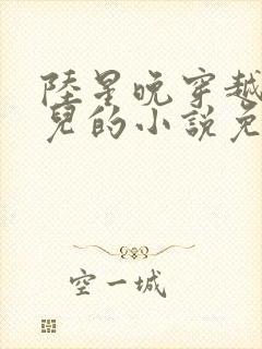 陆星晚穿越成婴儿的小说免费阅读全文