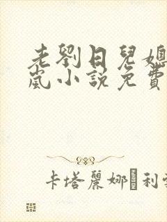 老刘日儿媳妇张岚小说免费阅读