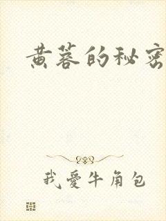 黄蓉的秘密