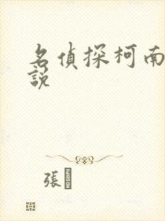 名侦探柯南h小说