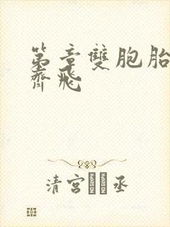 第章双胞胎姐妹齐飞