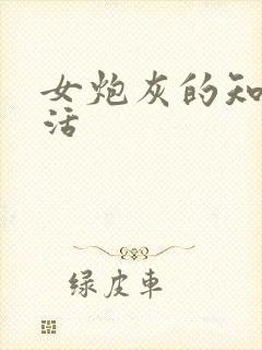 女炮灰的知青生活