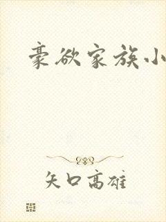 豪欲家族小说封面