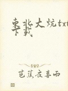 东北大炕txt下载