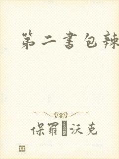 第二书包辣文封面