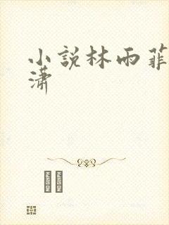 小说林雨菲顾北潇