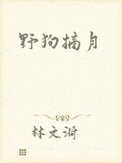 野狗摘月