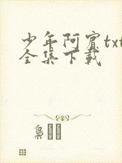 少年阿宾txt全集下载