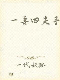 一妻四夫手记